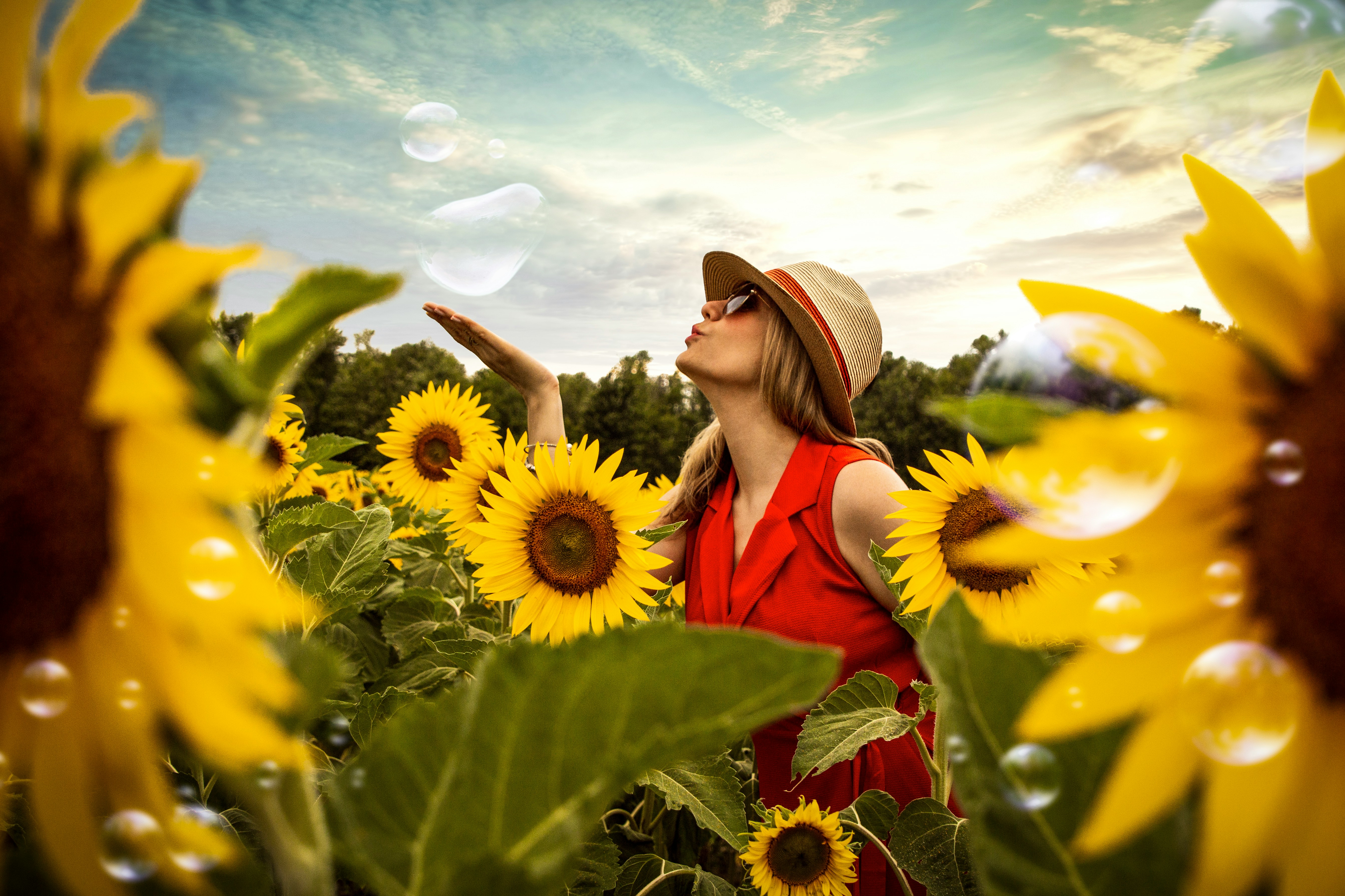 Accompagnement en entreprise